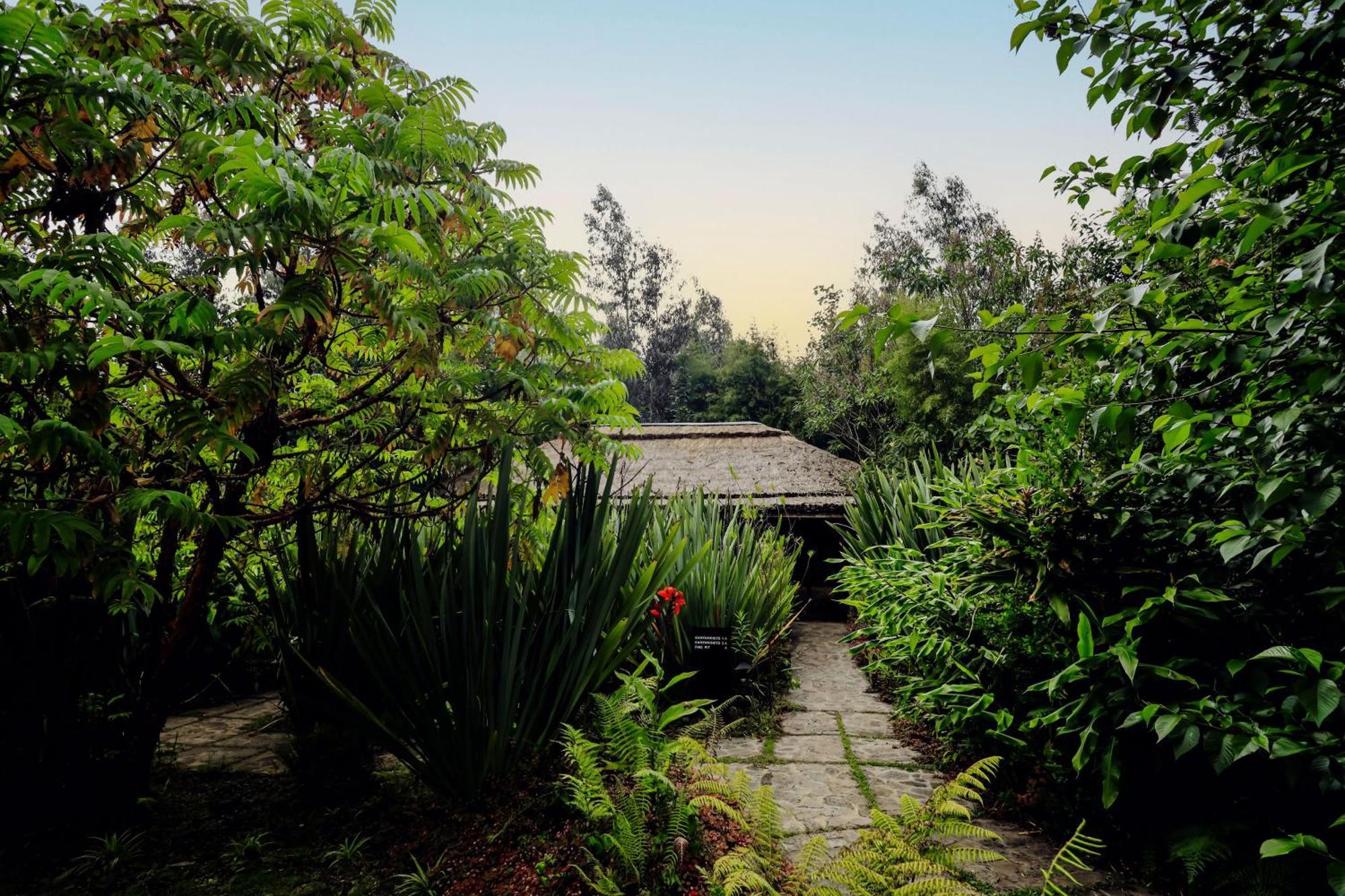 Sambora Kinigi Villa Dış mekan fotoğraf